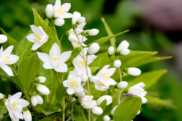 Similar image 635707