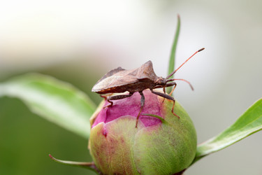 Similar image 635710