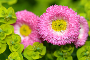 Similar image 635712