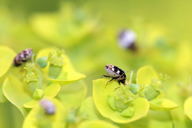 Similar image 635713