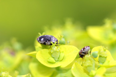 Similar image 635716