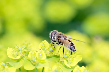 Similar image 635718