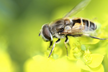 Similar image 635719