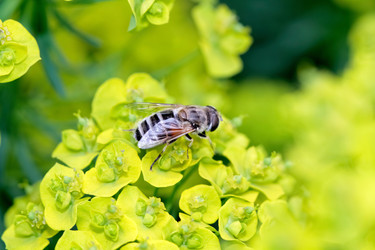 Similar image 635720