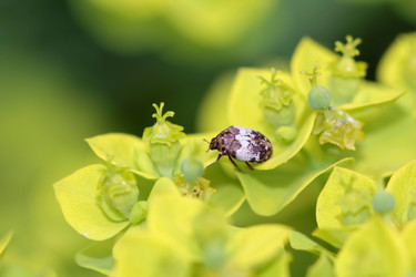 Similar image 635723