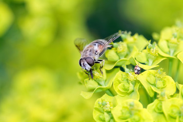 Similar image 635725