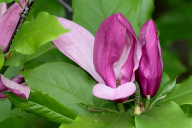 Similar image 635727