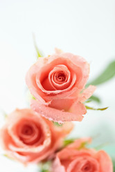 Similar image 635728