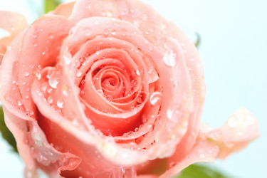 Similar image 635731