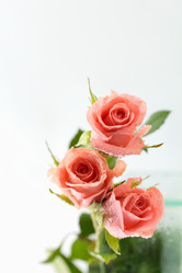 Similar image 635732