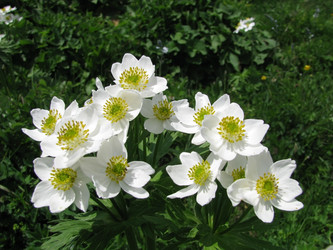 Similar image 635734