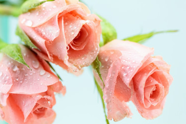 Similar image 635735