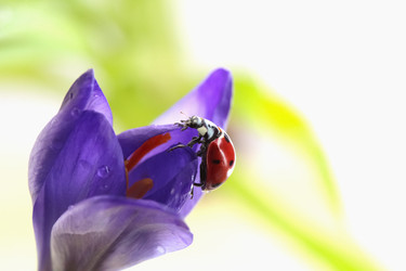 Similar image 635737