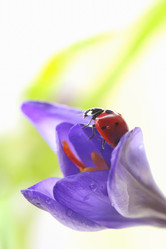 Similar image 635738