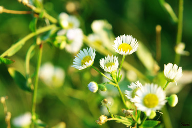 Similar image 635760