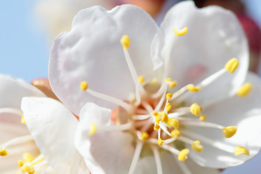 Similar image 635859