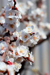 Similar image 635860