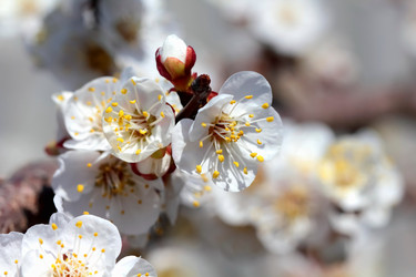 Similar image 635863