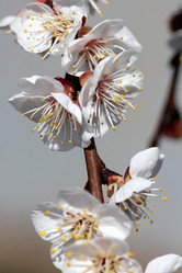Similar image 635864