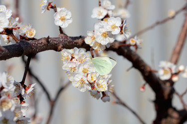 Similar image 635866