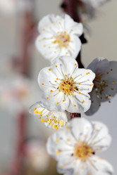 Similar image 635867