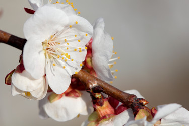 Similar image 635868