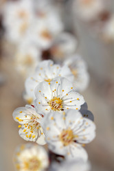 Similar image 635869