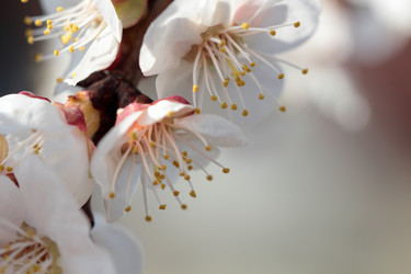 Similar image 635870