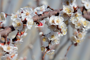 Similar image 635871