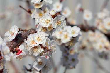 Similar image 635873