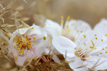 Similar image 635875