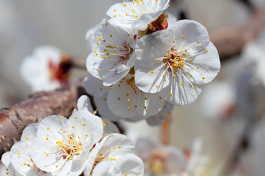 Similar image 635878