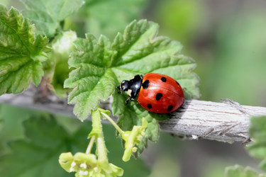 Similar image 635885