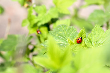 Similar image 635886