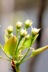 Similar image 635887