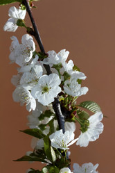 Similar image 635888