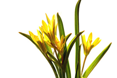 Similar image 635895