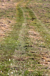 Similar image 635896