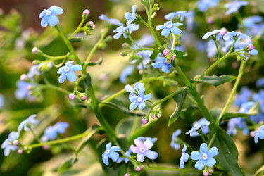 Similar image 635901