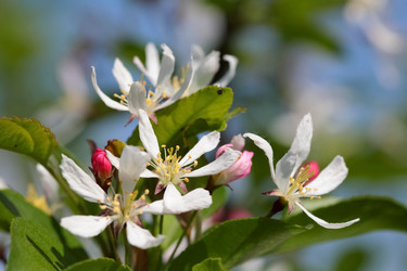 Similar image 635903