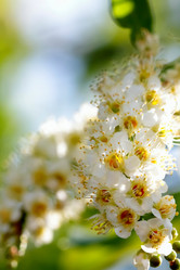 Similar image 635906