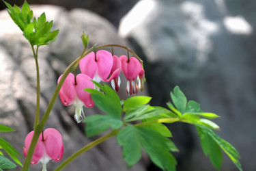 Similar image 635910