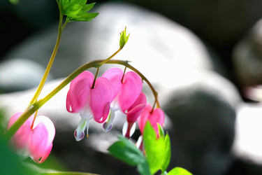 Similar image 635911