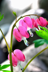 Similar image 635912