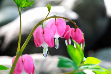 Similar image 635913