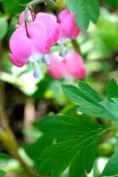 Similar image 635914