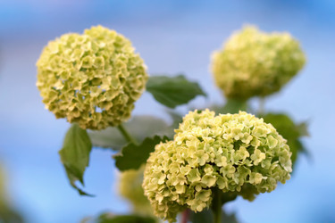 Similar image 635917