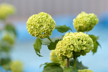 Similar image 635916