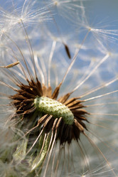 Similar image 635918