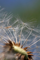 Similar image 635919